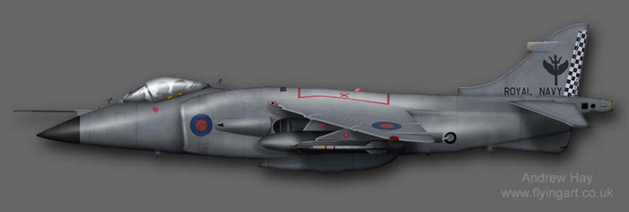 Sea Harrier FRS.1 801 NAS